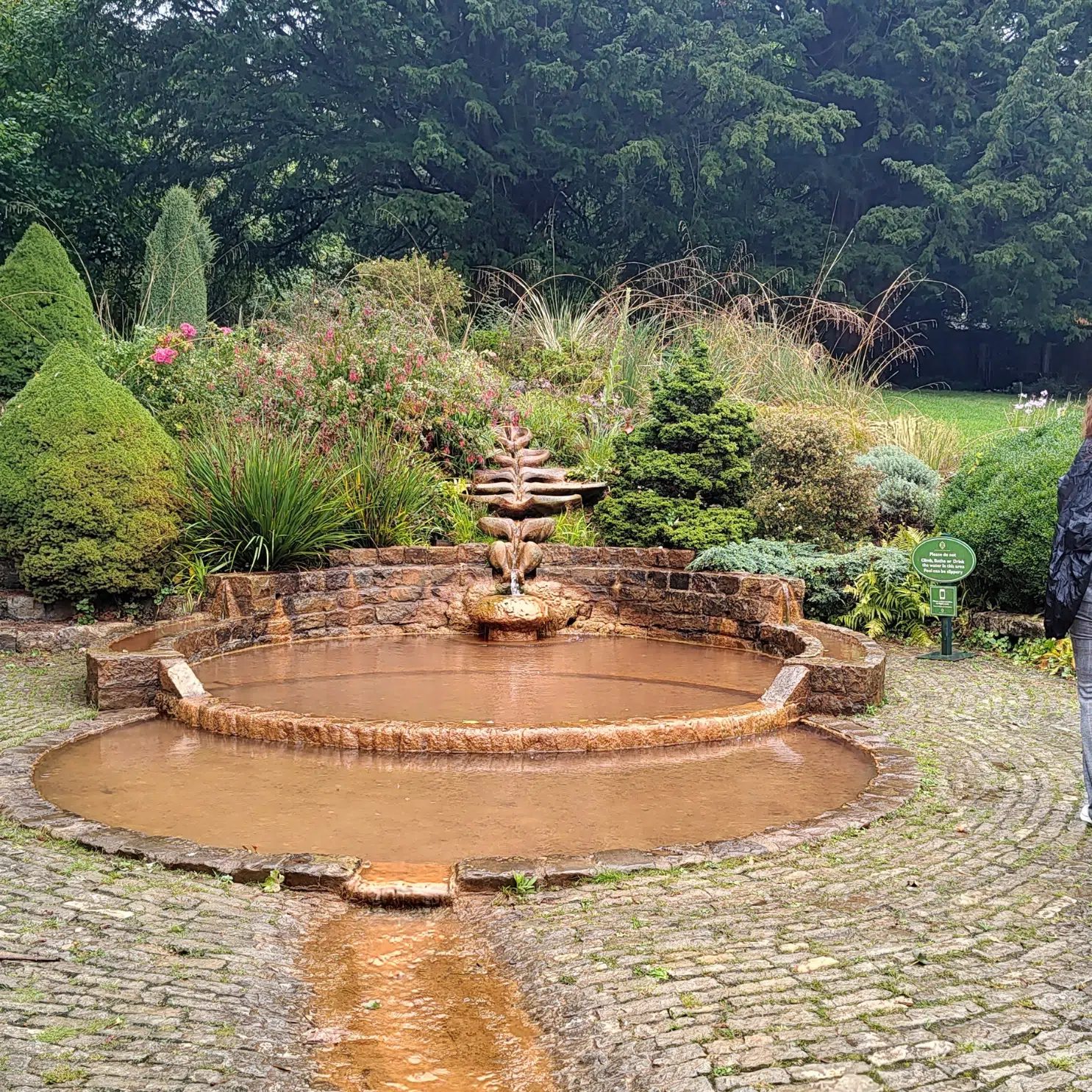 diseño sin título 2025 10 28t125125.028