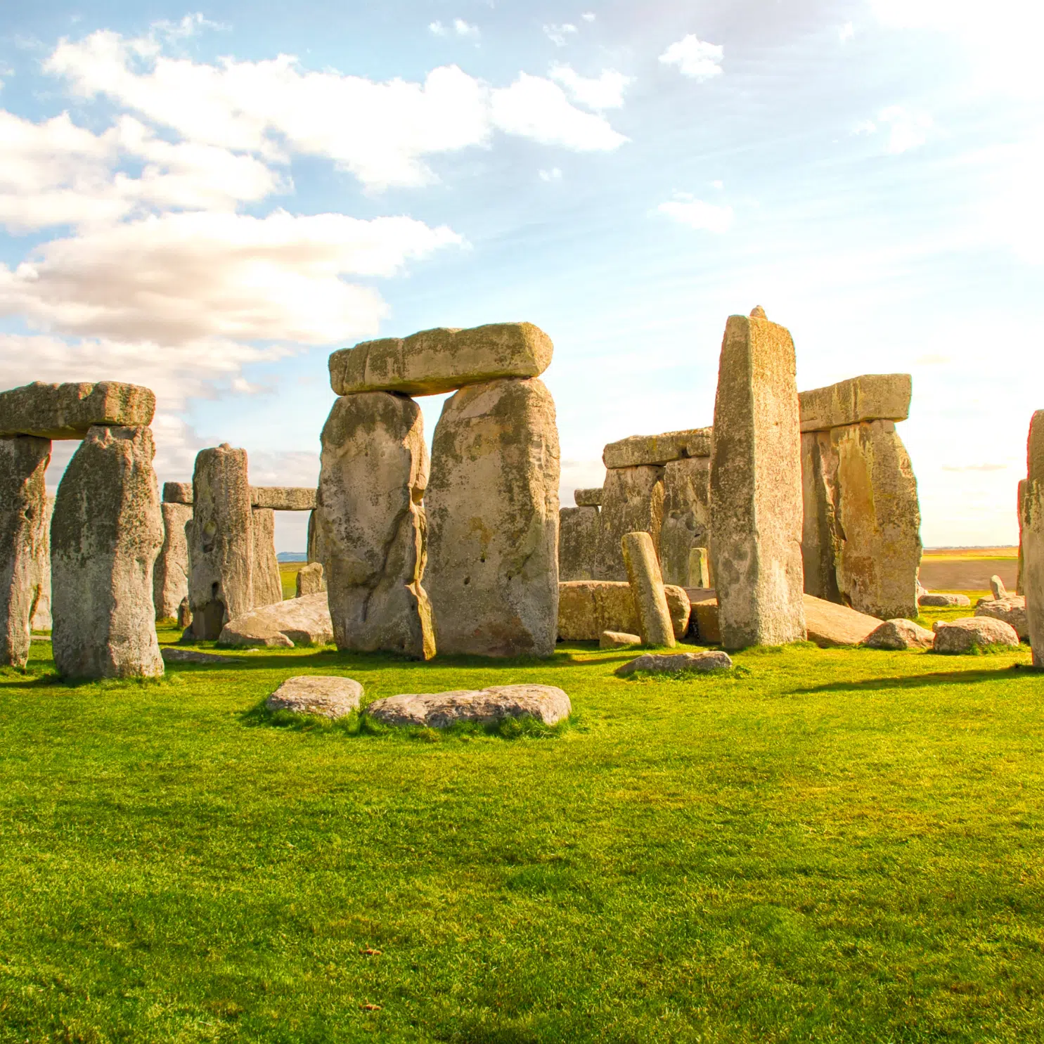 diseño sin título 2025 10 28t125850.621